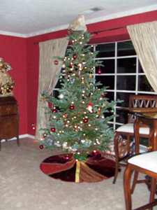 Christmas 2005 (01).JPG